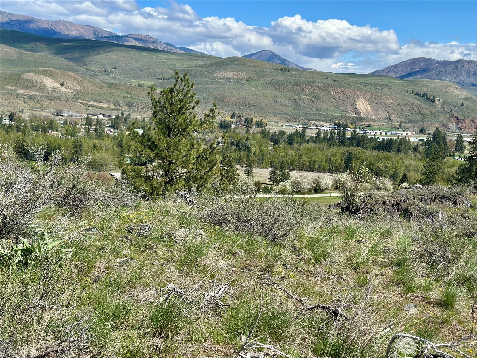 2 X Alder Road Twisp, WA 98856 - Photo 17 of 38