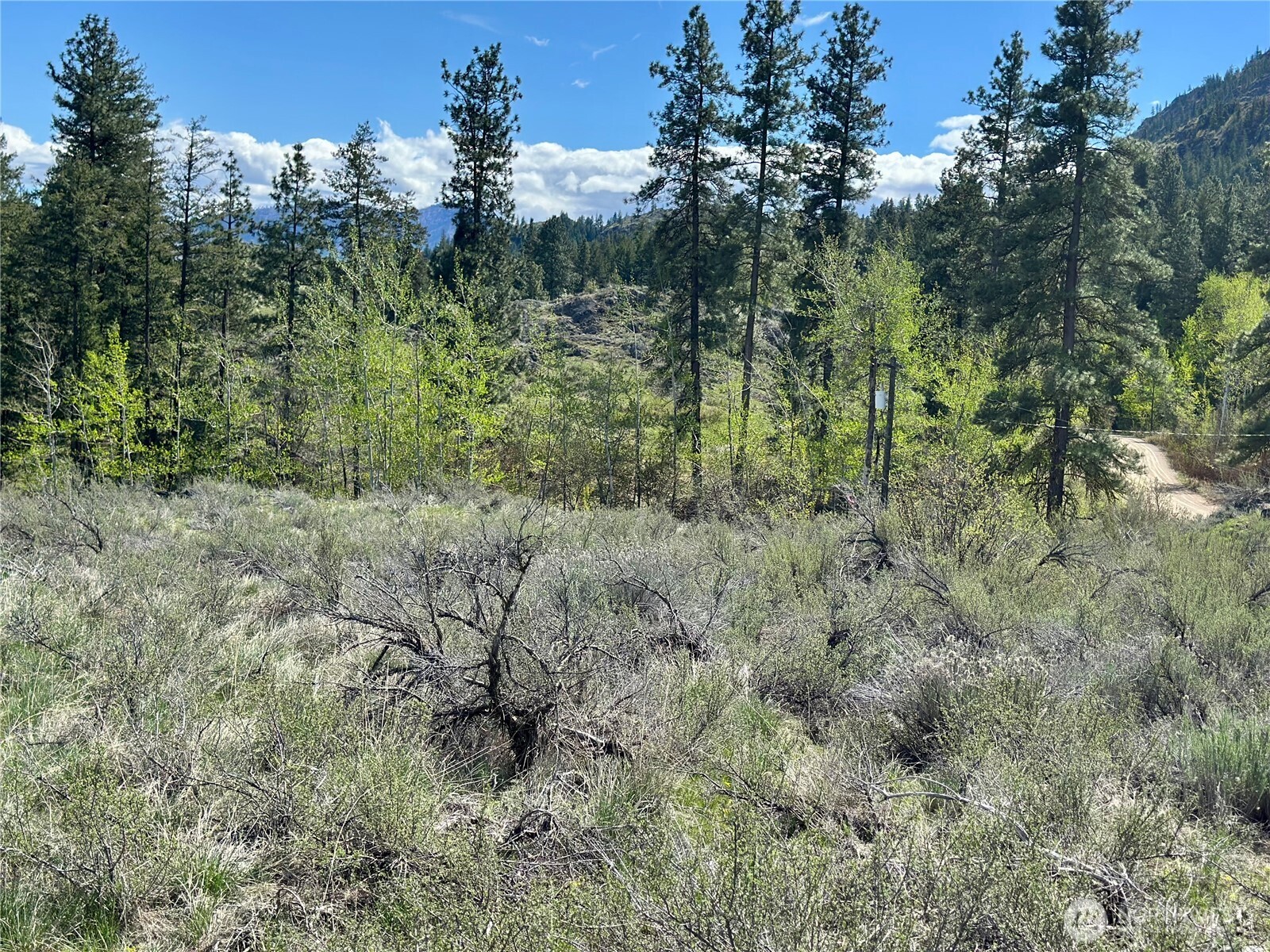 2 X Alder Road Twisp, WA 98856 - Photo 20 of 38