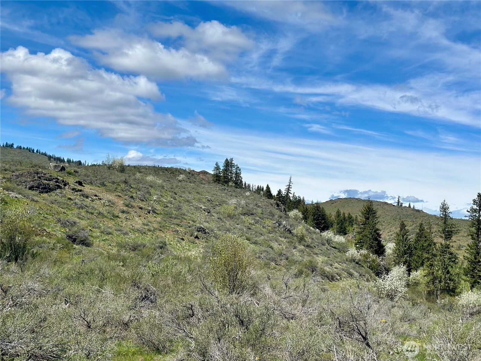 2 X Alder Road Twisp, WA 98856 - Photo 22 of 38