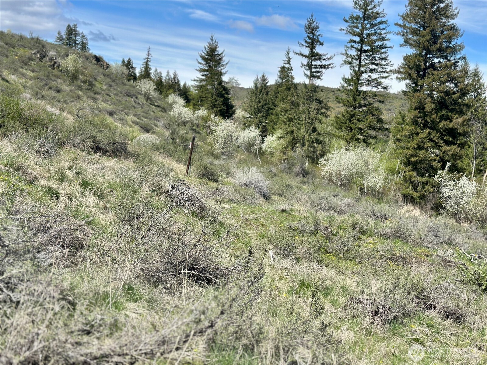 2 X Alder Road Twisp, WA 98856 - Photo 23 of 38