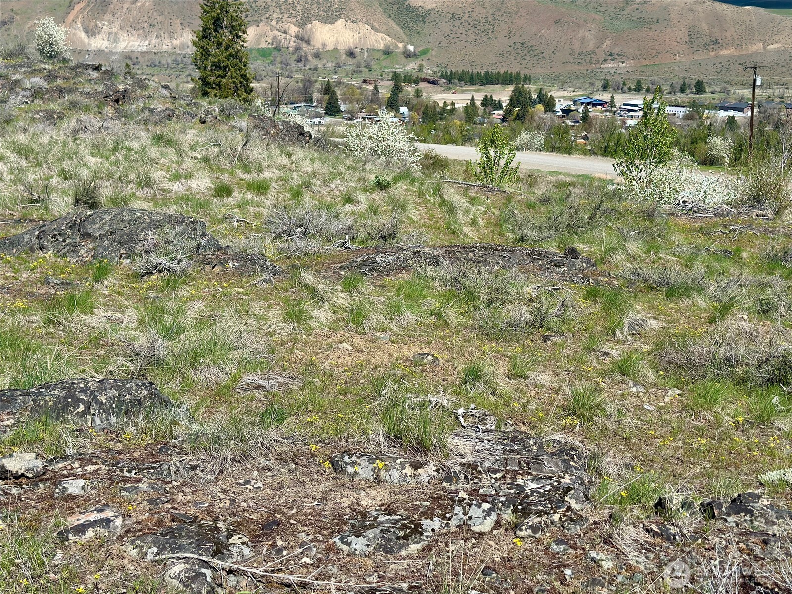 2 X Alder Road Twisp, WA 98856 - Photo 26 of 38