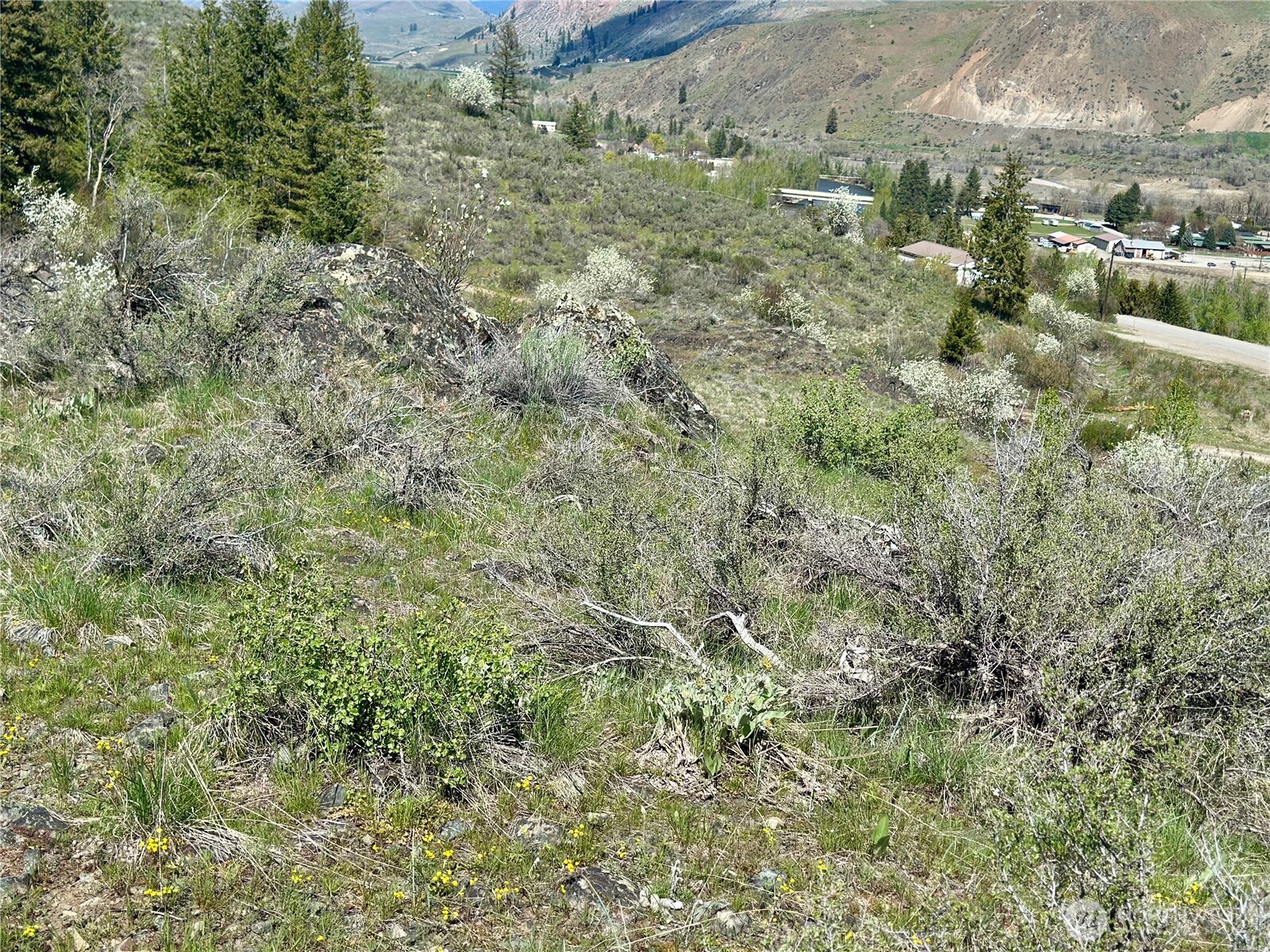 2 X Alder Road Twisp, WA 98856 - Photo 27 of 38