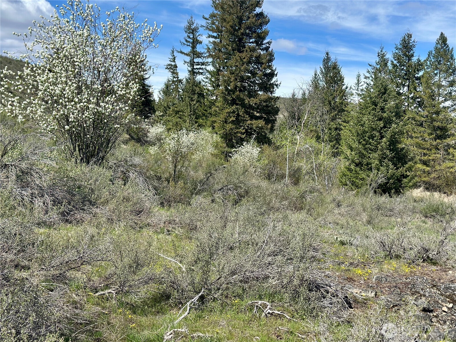 2 X Alder Road Twisp, WA 98856 - Photo 28 of 38