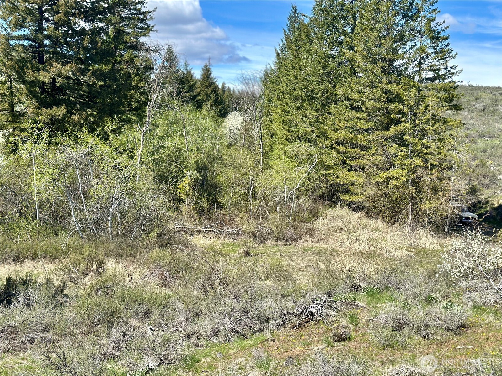2 X Alder Road Twisp, WA 98856 - Photo 30 of 38