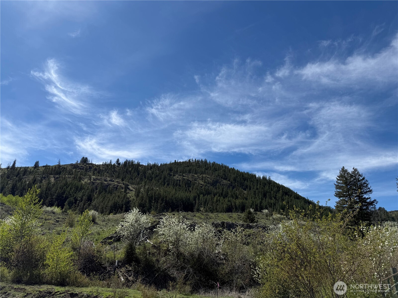 2 X Alder Road Twisp, WA 98856 - Photo 35 of 38