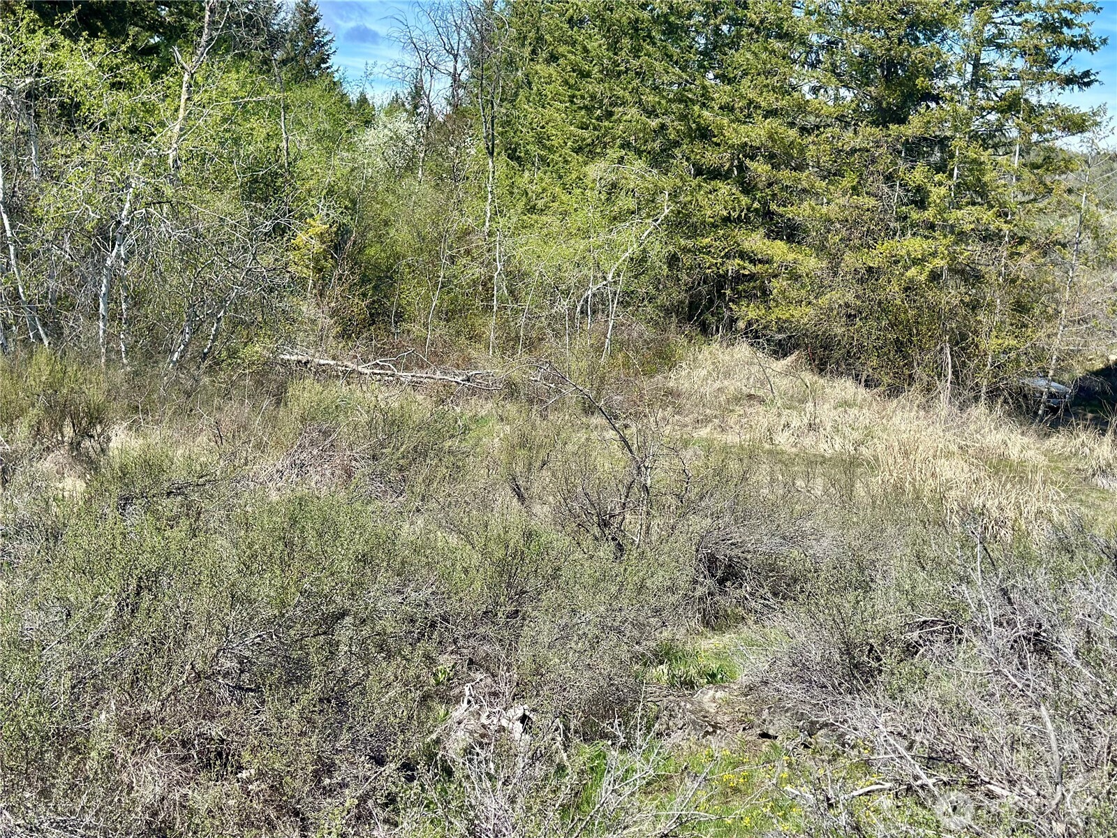 2 X Alder Road Twisp, WA 98856 - Photo 38 of 38