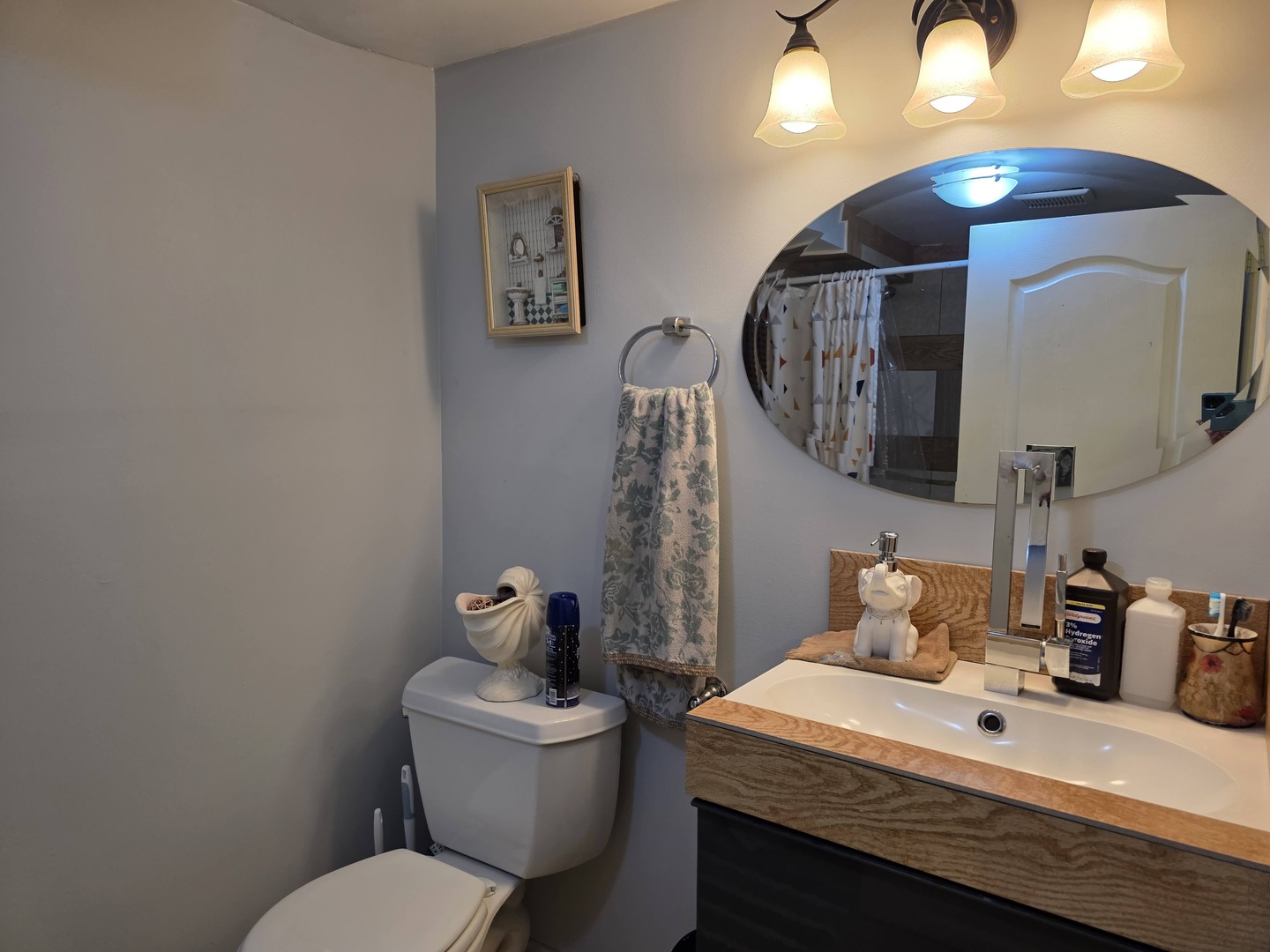38433 North 5th Avenue Spring Grove, IL 60081 - Photo 13 of 44 a bathroom with a toilet a sink and mirror