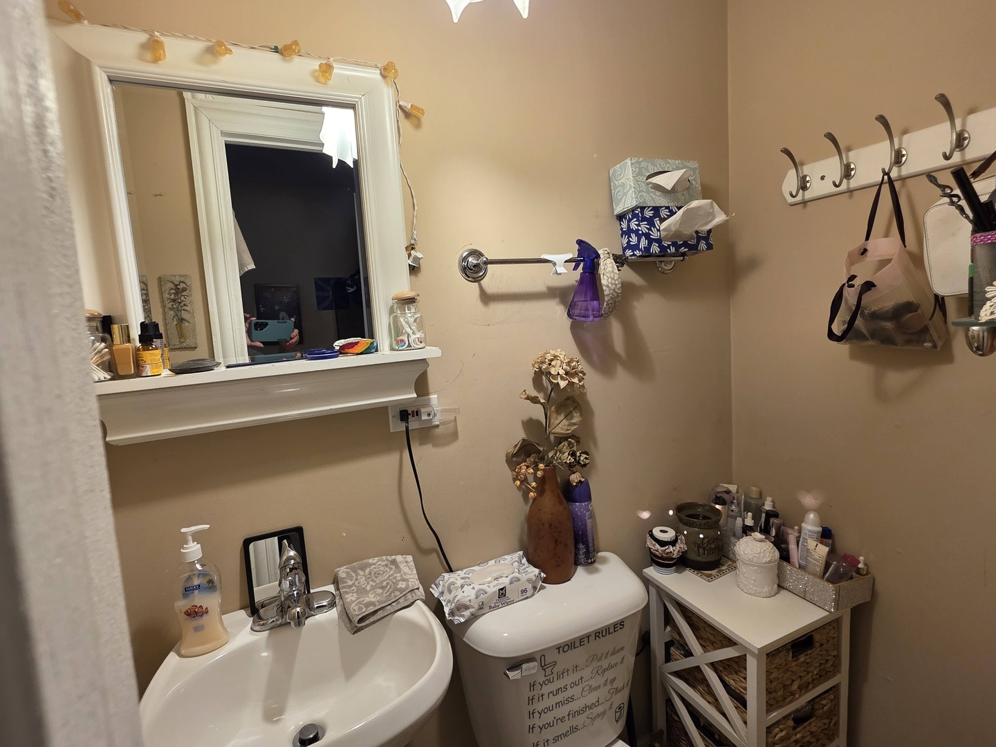 38433 North 5th Avenue Spring Grove, IL 60081 - Photo 21 of 44 a bathroom with a sink and mirror with toilet