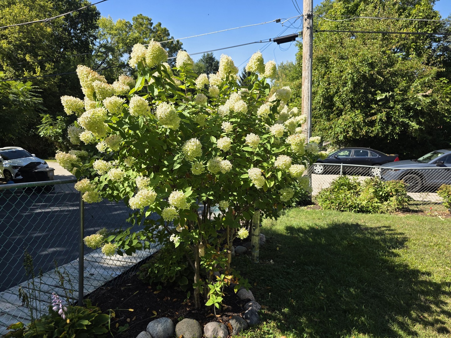38433 North 5th Avenue Spring Grove, IL 60081 - Photo 43 of 44 a backyard of a house with lots of green space