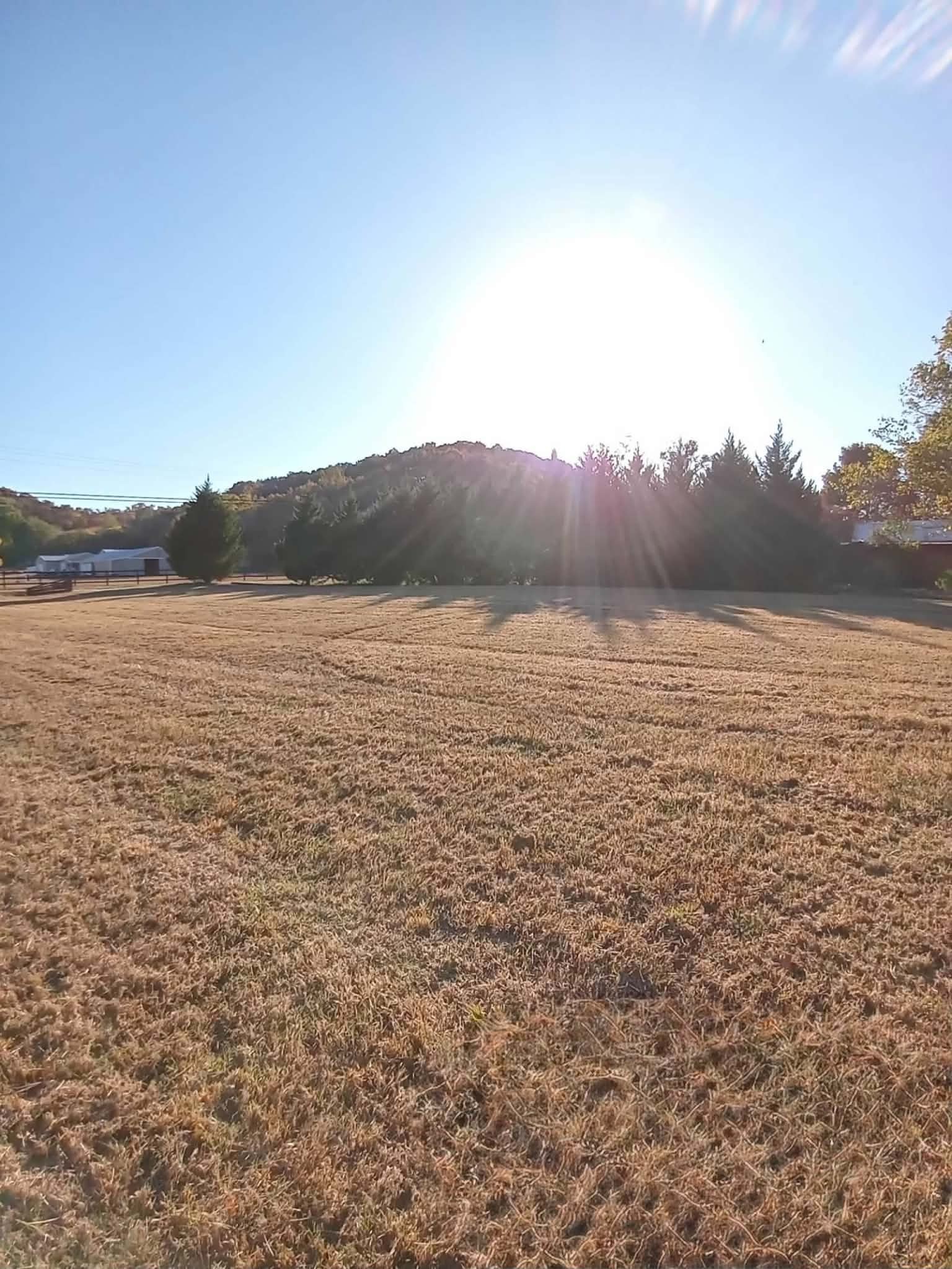 5360 Pond Creek Road Pegram, TN 37143 - Photo 94 of 98 Gallery Image 94