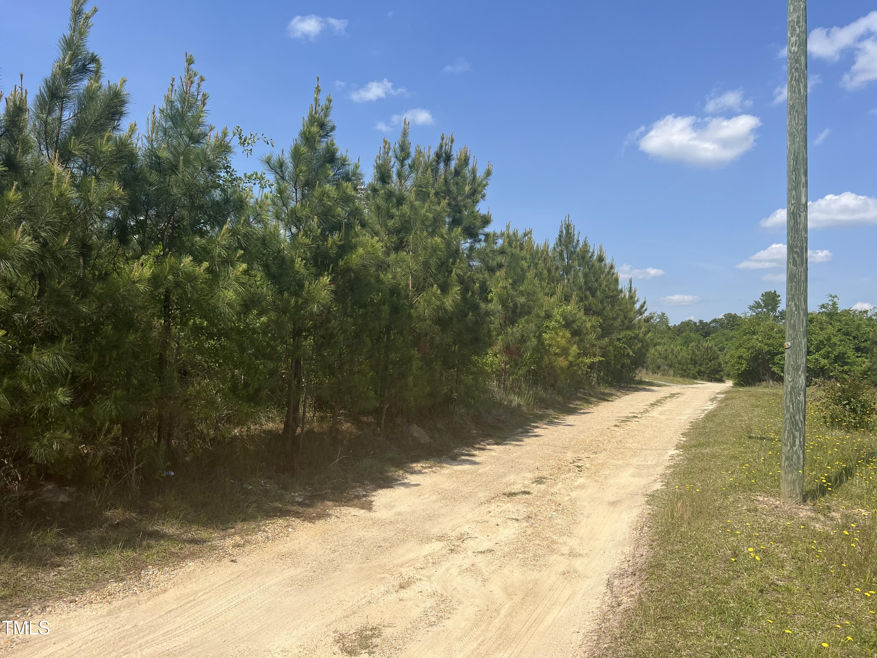 248 A Gilbert Road Benson, NC 27504 - Photo 2 of 6 Entrance Path
