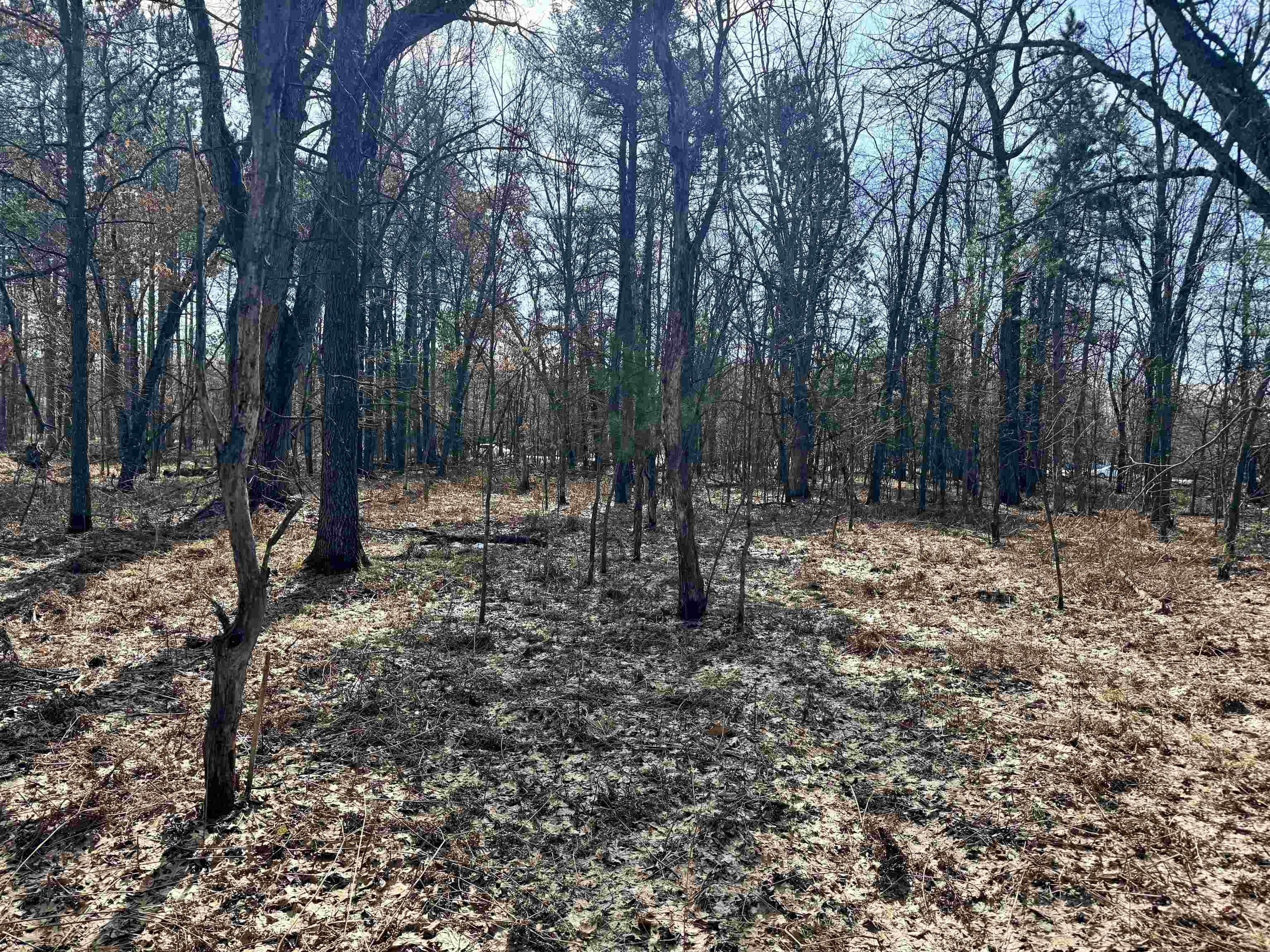 Parcel C West Rosted Road Lake City, MI 49651 - Photo 6 of 20