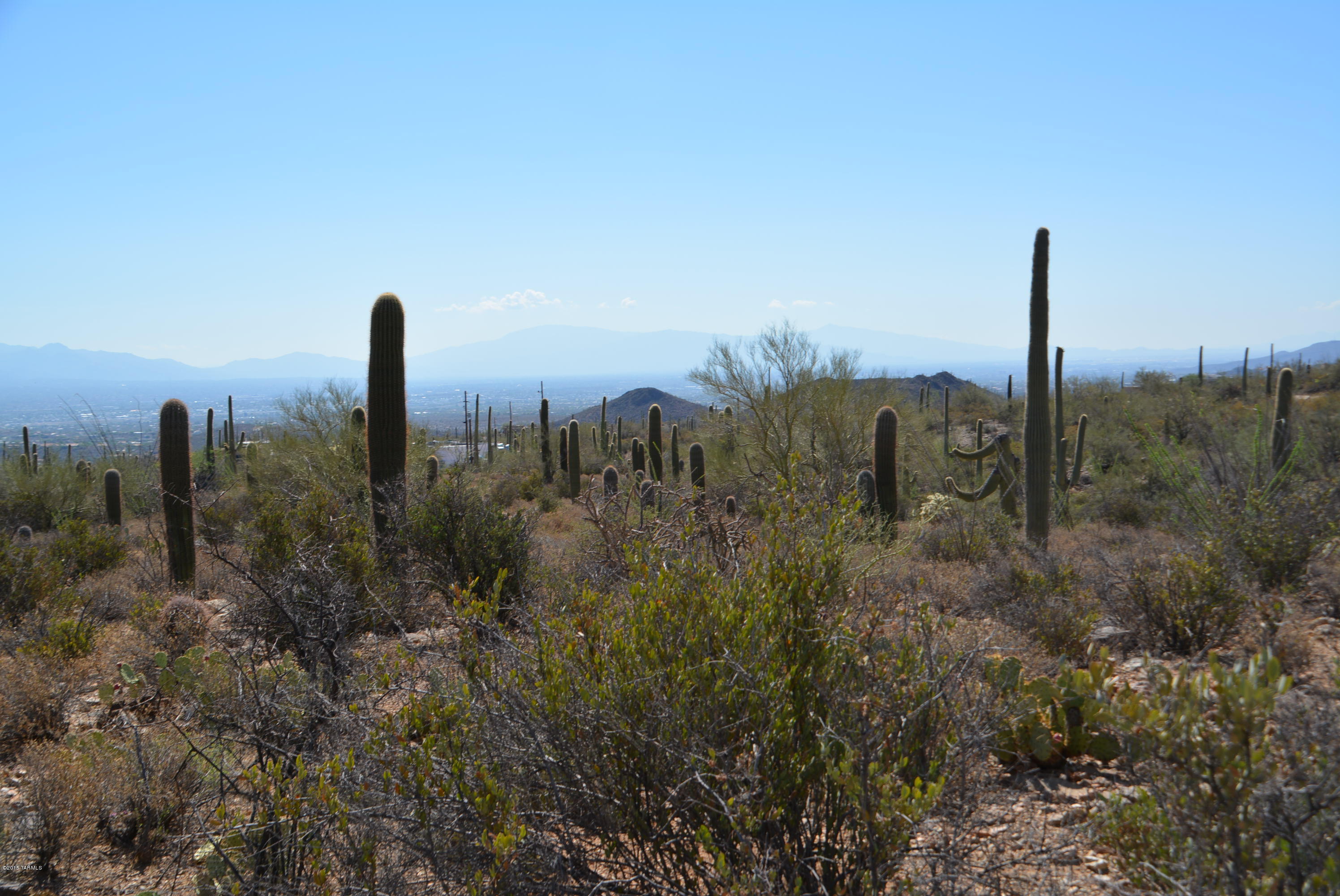 0 Broken Spring Tucson, AZ 85745 - Photo 16 of 24