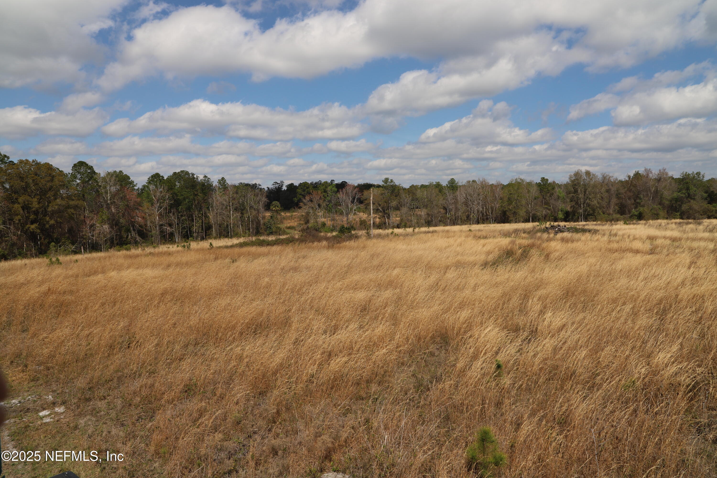 0 Co Road Earleton, FL 32631 - Photo 11 of 22 IMG_1720