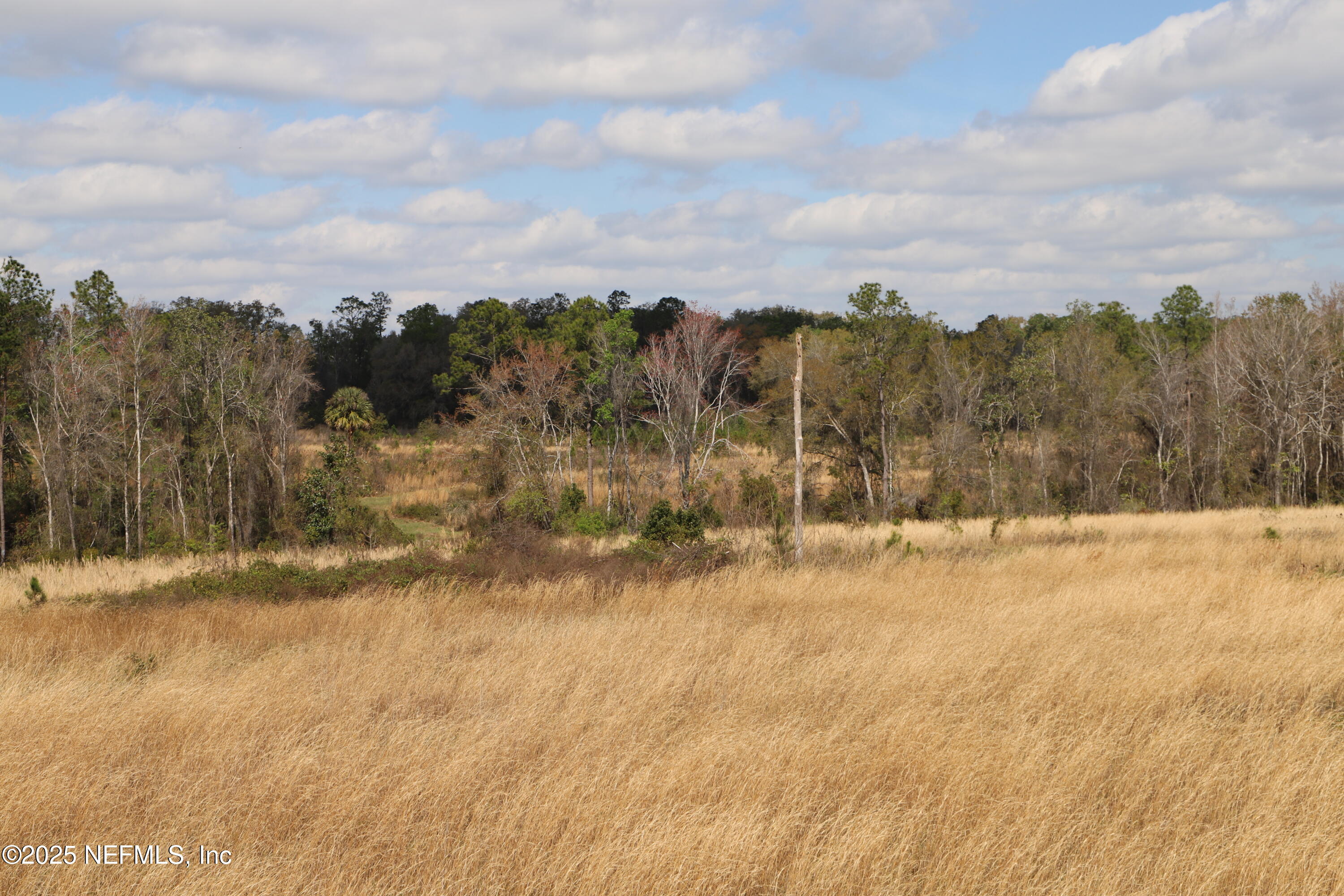 0 Co Road Earleton, FL 32631 - Photo 12 of 22 IMG_1721