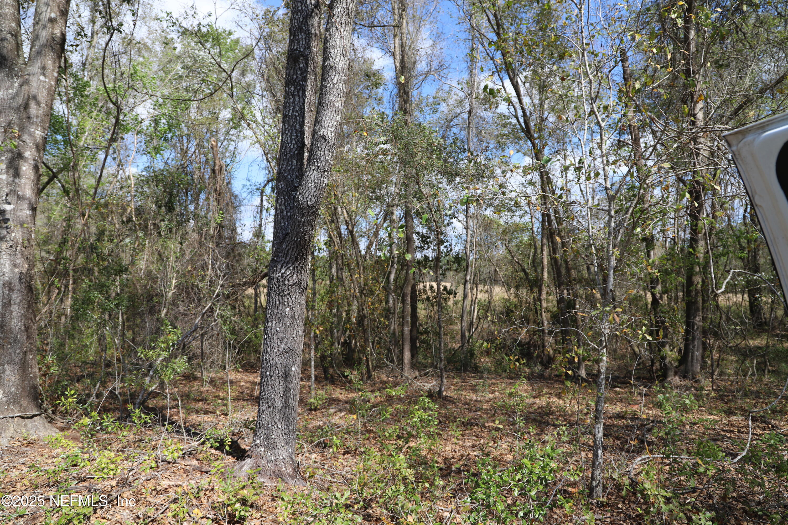 0 Co Road Earleton, FL 32631 - Photo 15 of 22 IMG_1726