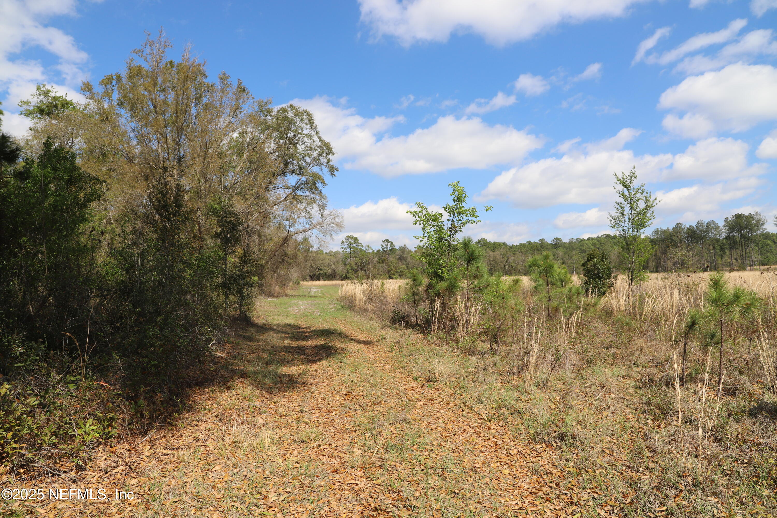 0 Co Road Earleton, FL 32631 - Photo 18 of 22 IMG_1732