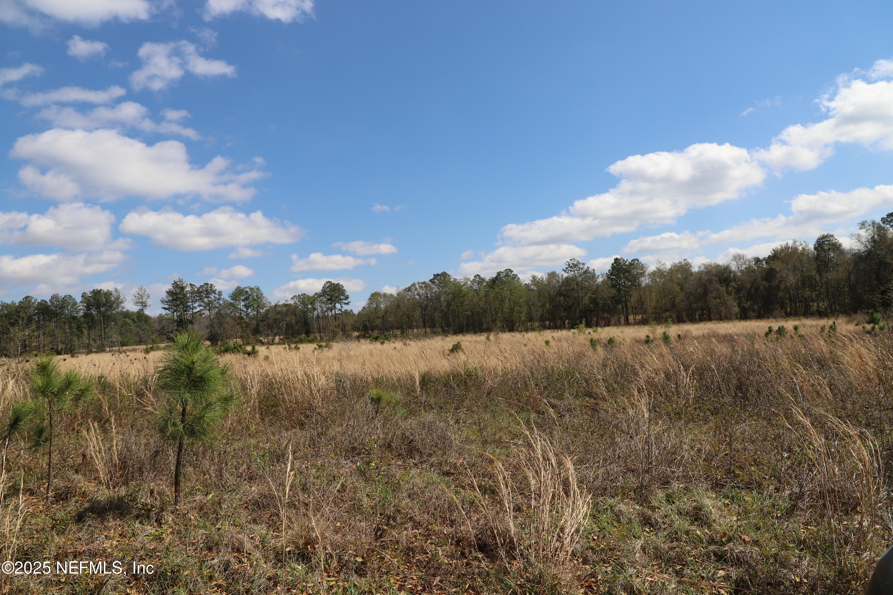 0 Co Road Earleton, FL 32631 - Photo 19 of 22 IMG_1734
