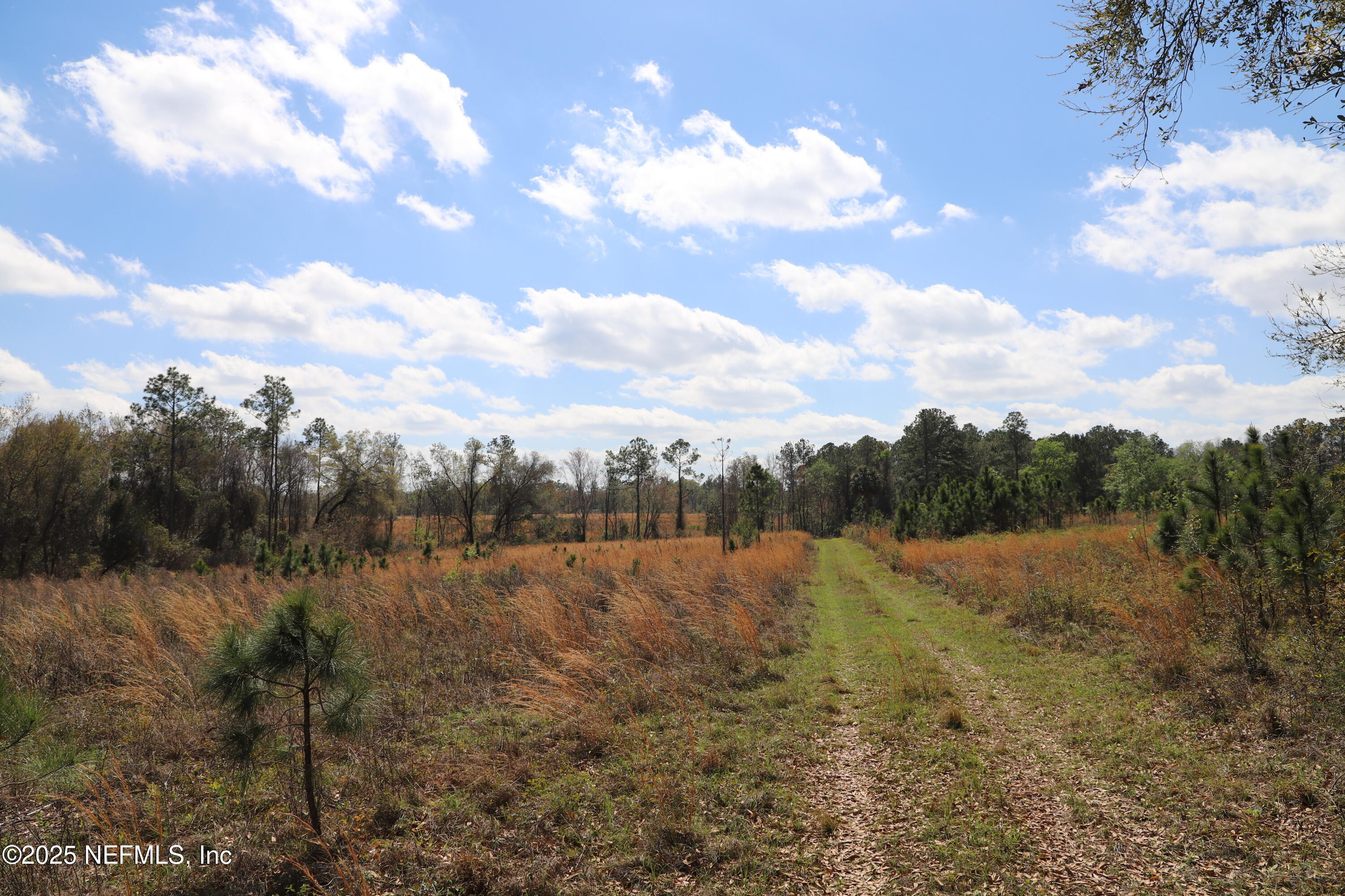 0 Co Road Earleton, FL 32631 - Photo 20 of 22 IMG_1737