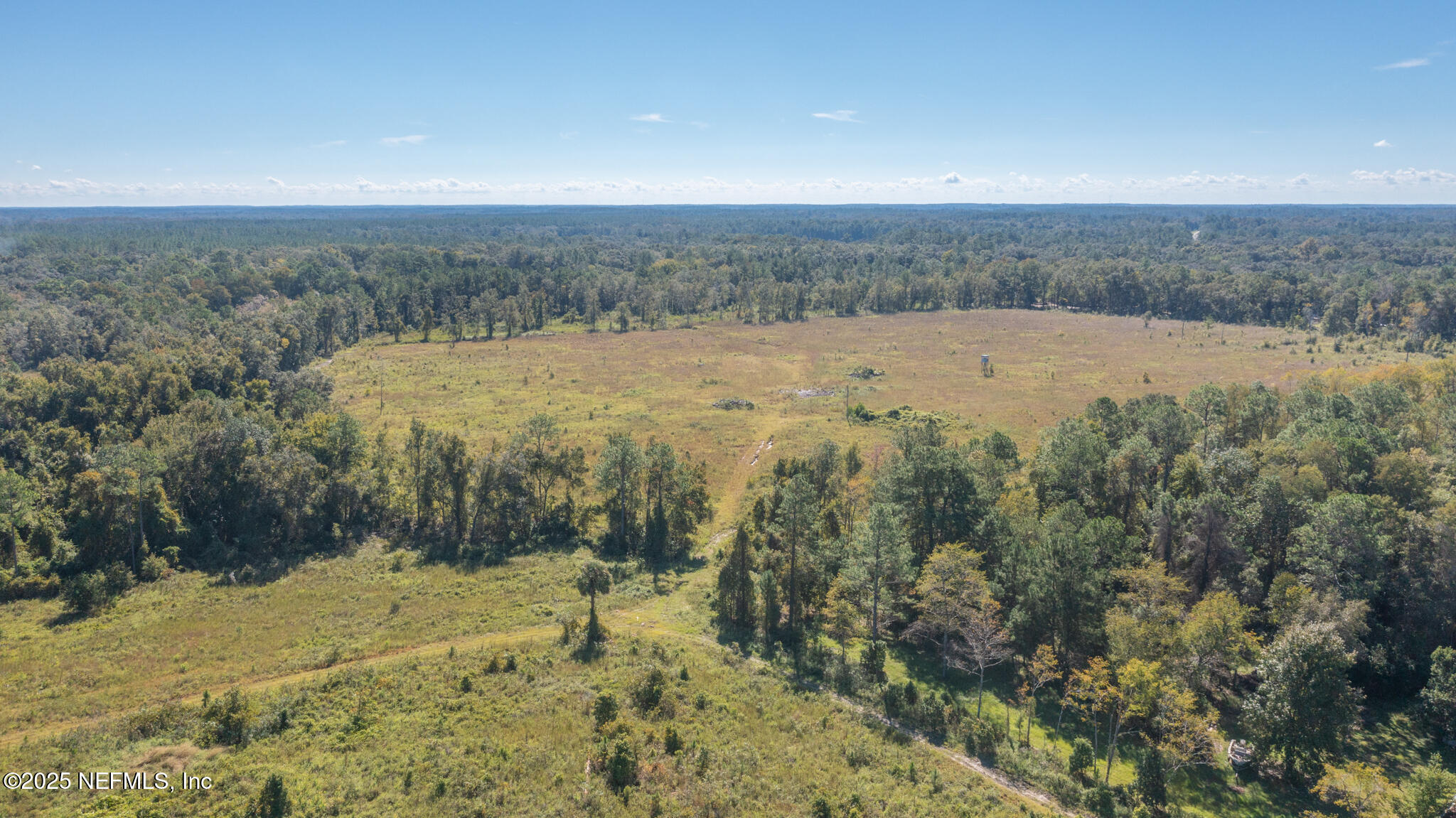 0 Co Road Earleton, FL 32631 - Photo 2 of 22 DJI_0613