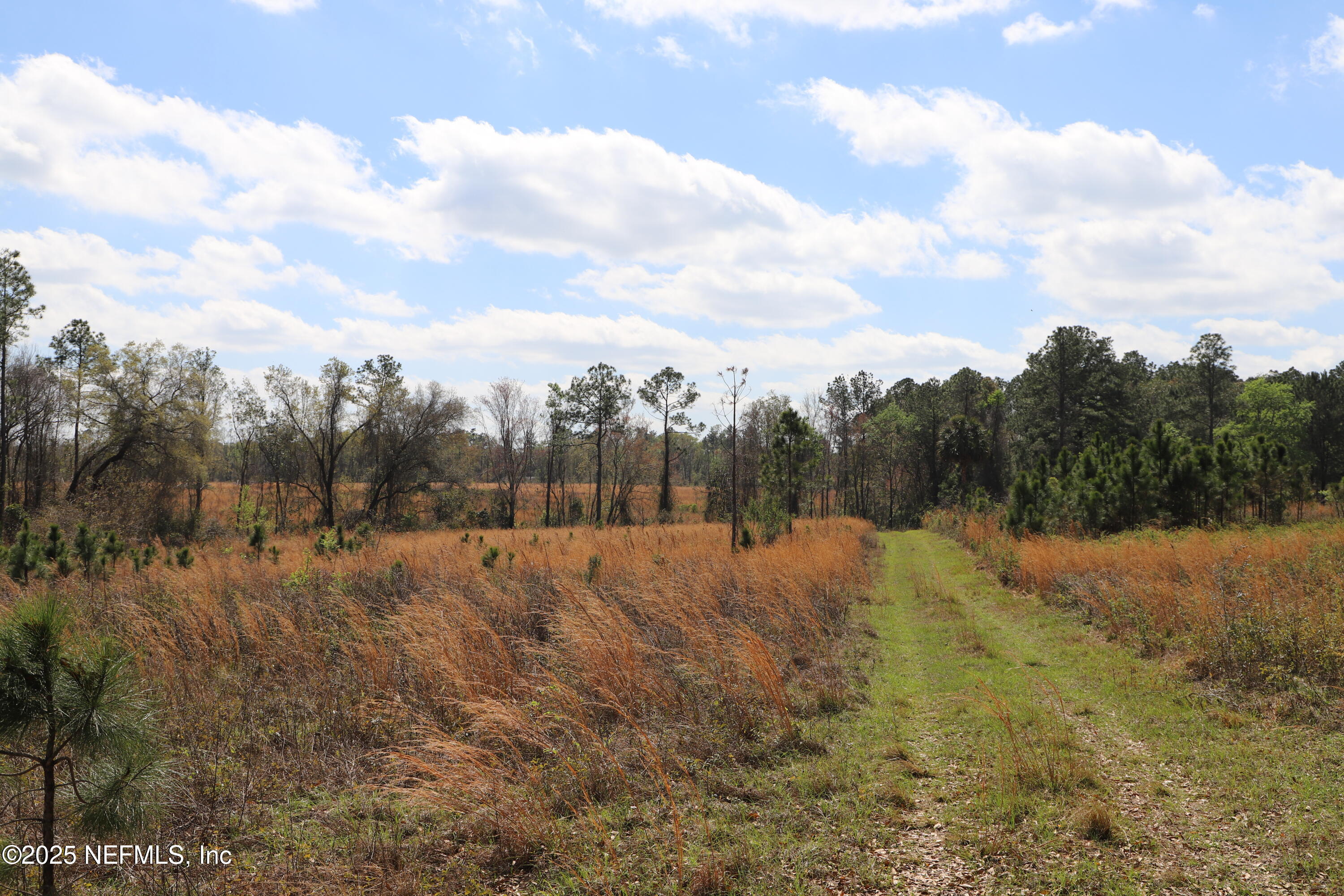 0 Co Road Earleton, FL 32631 - Photo 21 of 22 IMG_1738