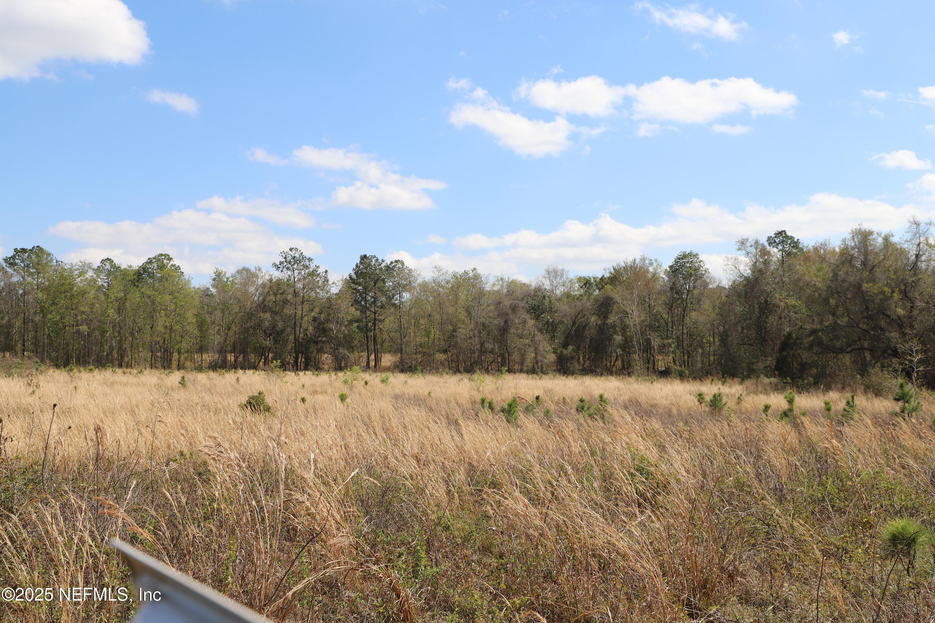 0 Co Road Earleton, FL 32631 - Photo 22 of 22 IMG_1739