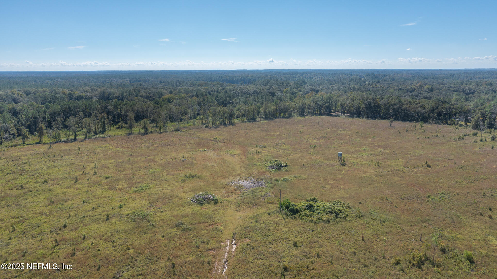 0 Co Road Earleton, FL 32631 - Photo 3 of 22 DJI_0614