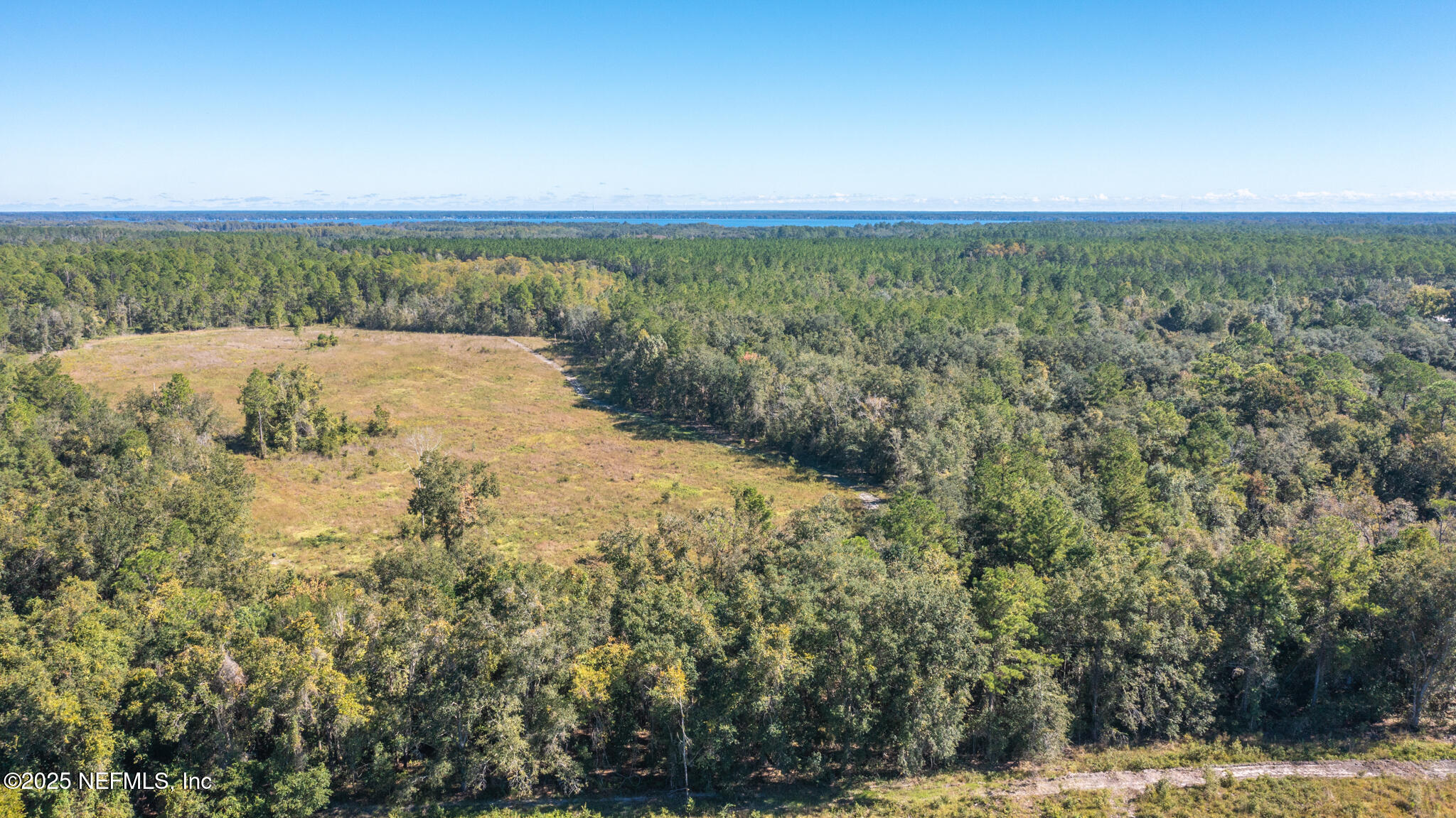 0 Co Road Earleton, FL 32631 - Photo 5 of 22 DJI_0616
