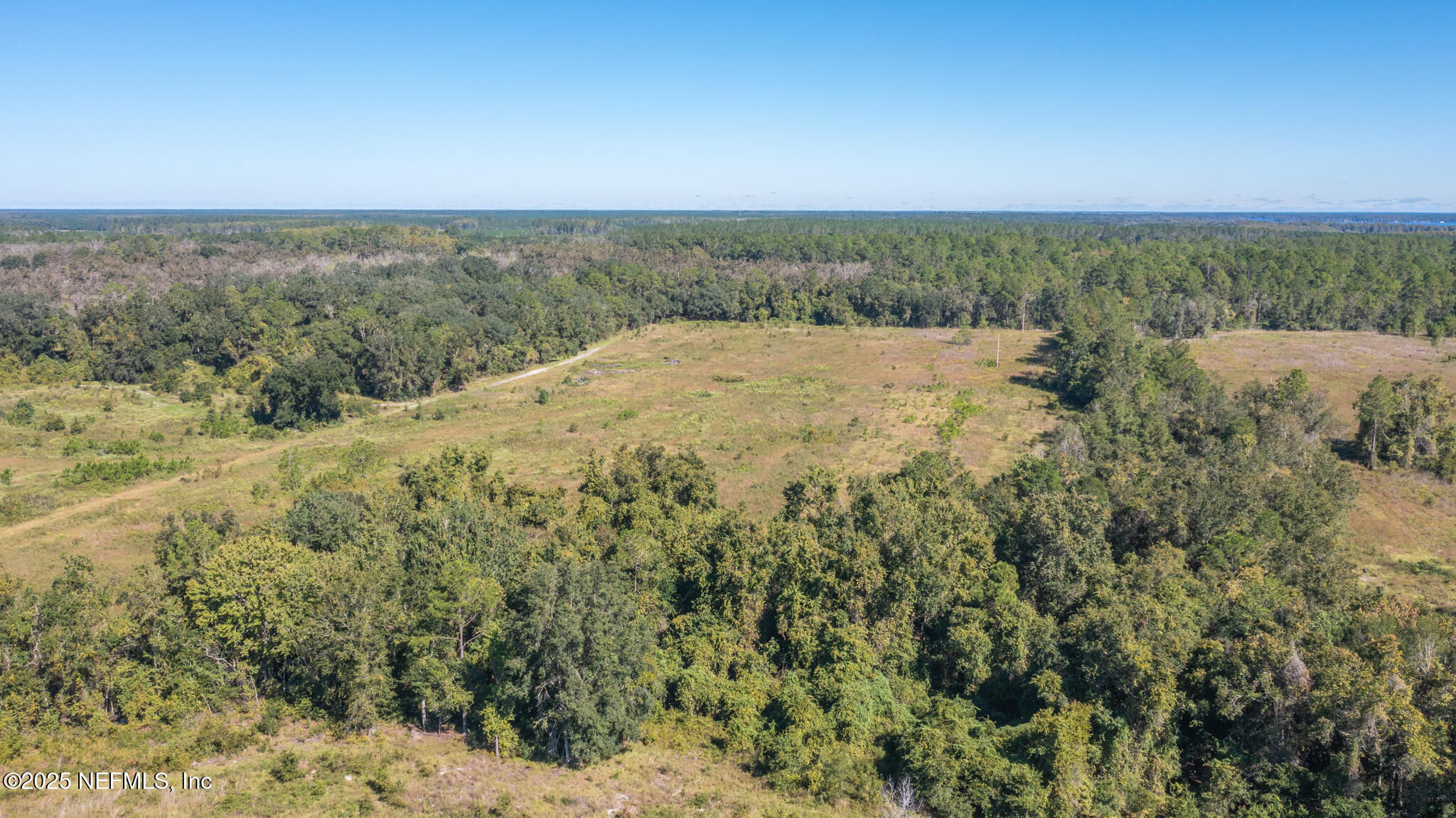 0 Co Road Earleton, FL 32631 - Photo 6 of 22 DJI_0617