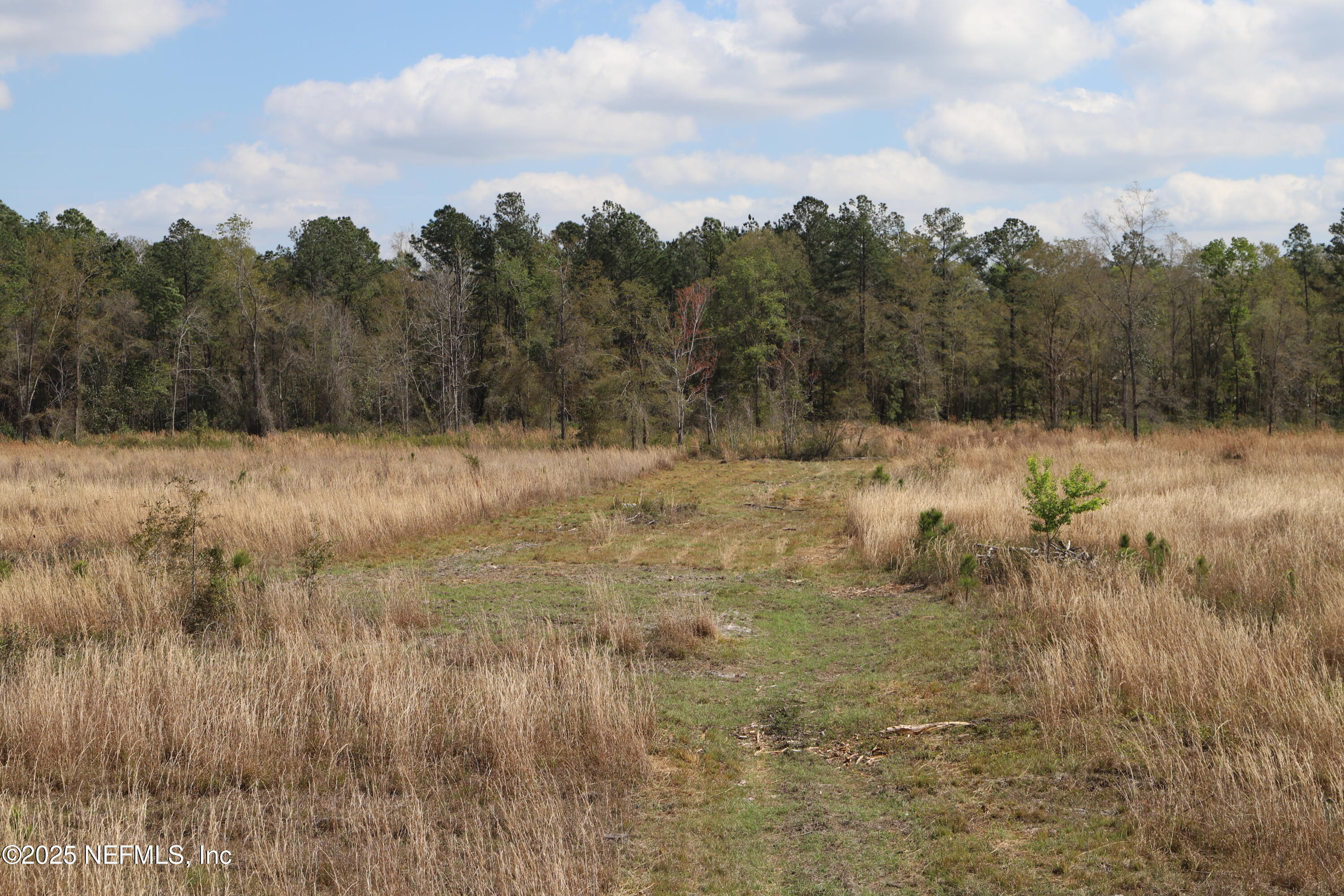 0 Co Road Earleton, FL 32631 - Photo 9 of 22 IMG_1717