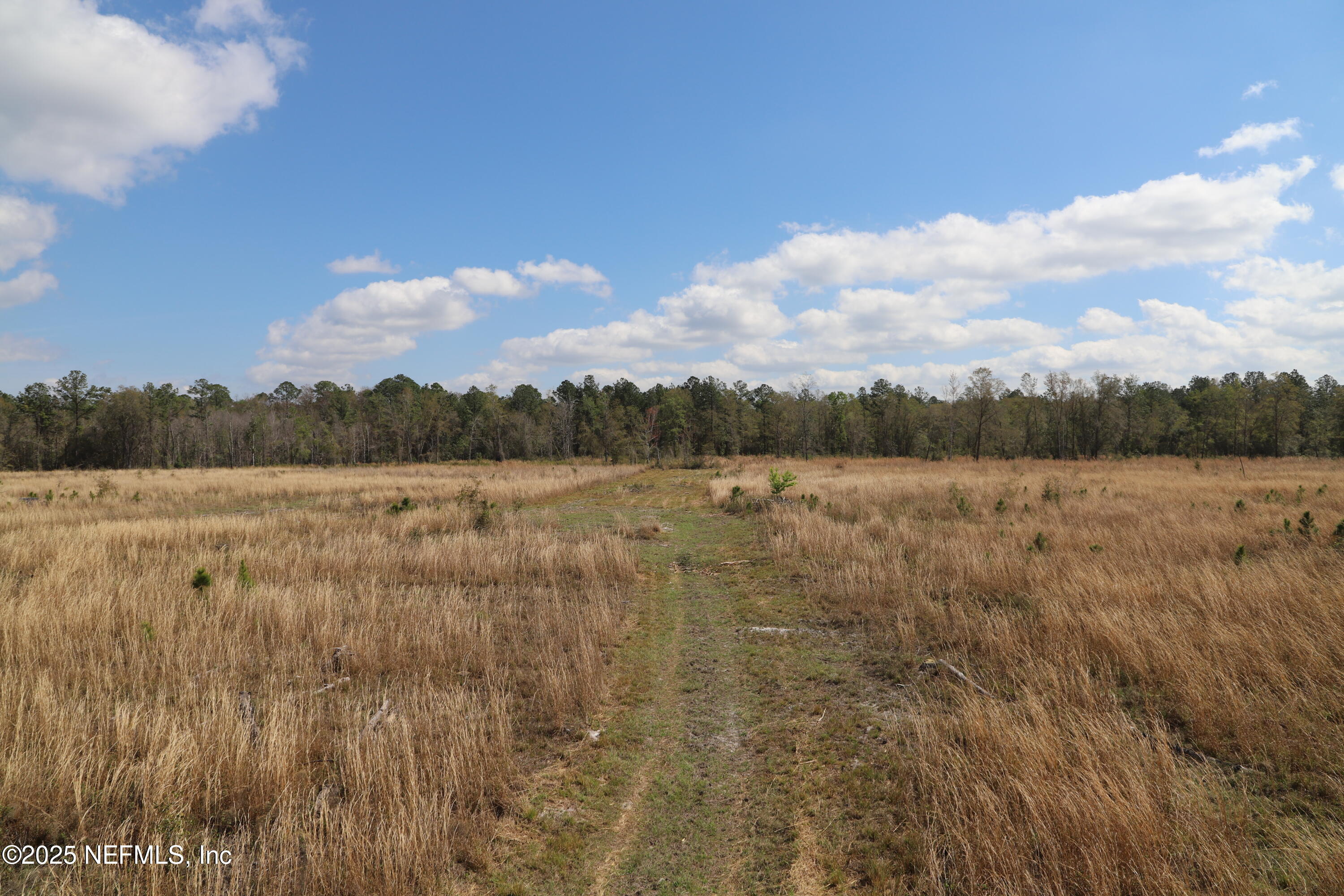 0 Co Road Earleton, FL 32631 - Photo 10 of 22 IMG_1718