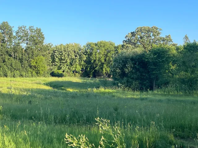 $297,000 | 900 6th Avenue Northeast, Little Falls, MN 56345