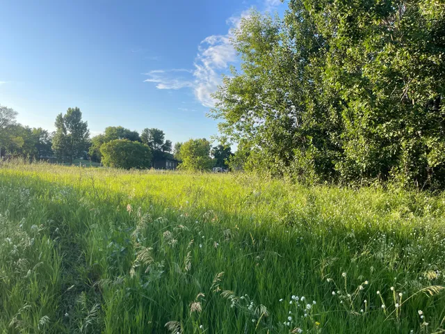 $297,000 | 900 6th Avenue Northeast, Little Falls, MN 56345