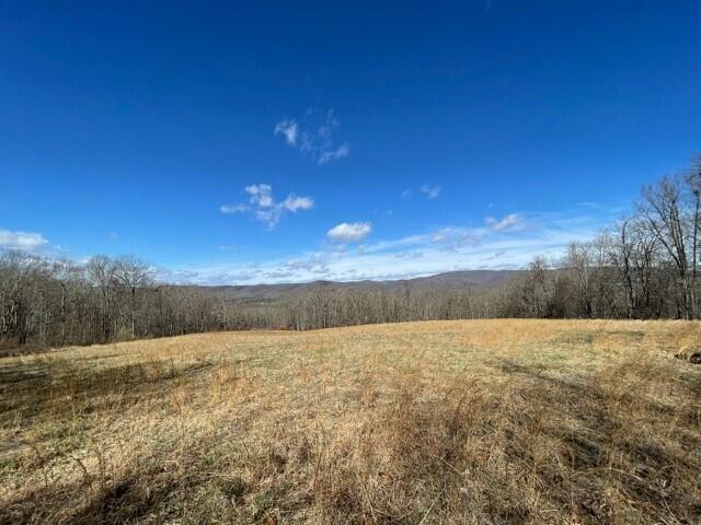 580-680 Fox Trail Road Crawley, WV 24931 - Photo 4 of 69 Gallery Image 4