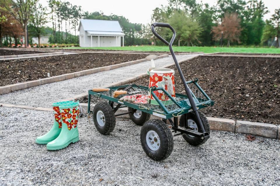 121 Canopy Lane Summerville, SC 29485 - Photo 11 of 14 Gardening at Summers Corner