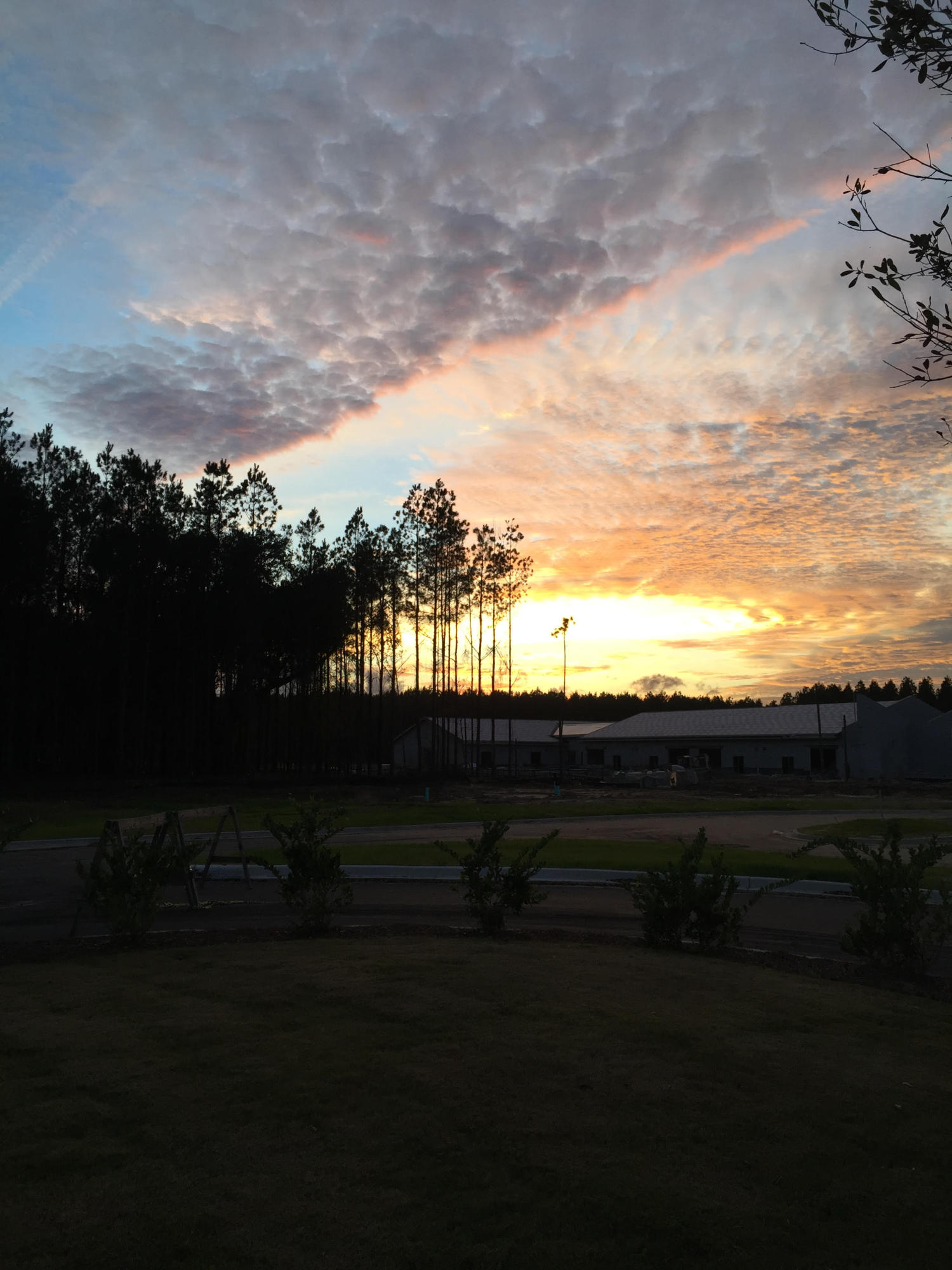 121 Canopy Lane Summerville, SC 29485 - Photo 13 of 14 Sunset over Sand Hill