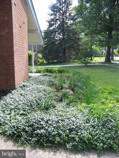 302 Sisson Street Silver Spring, MD 20902 - Photo 26 of 30 Exterior #4
