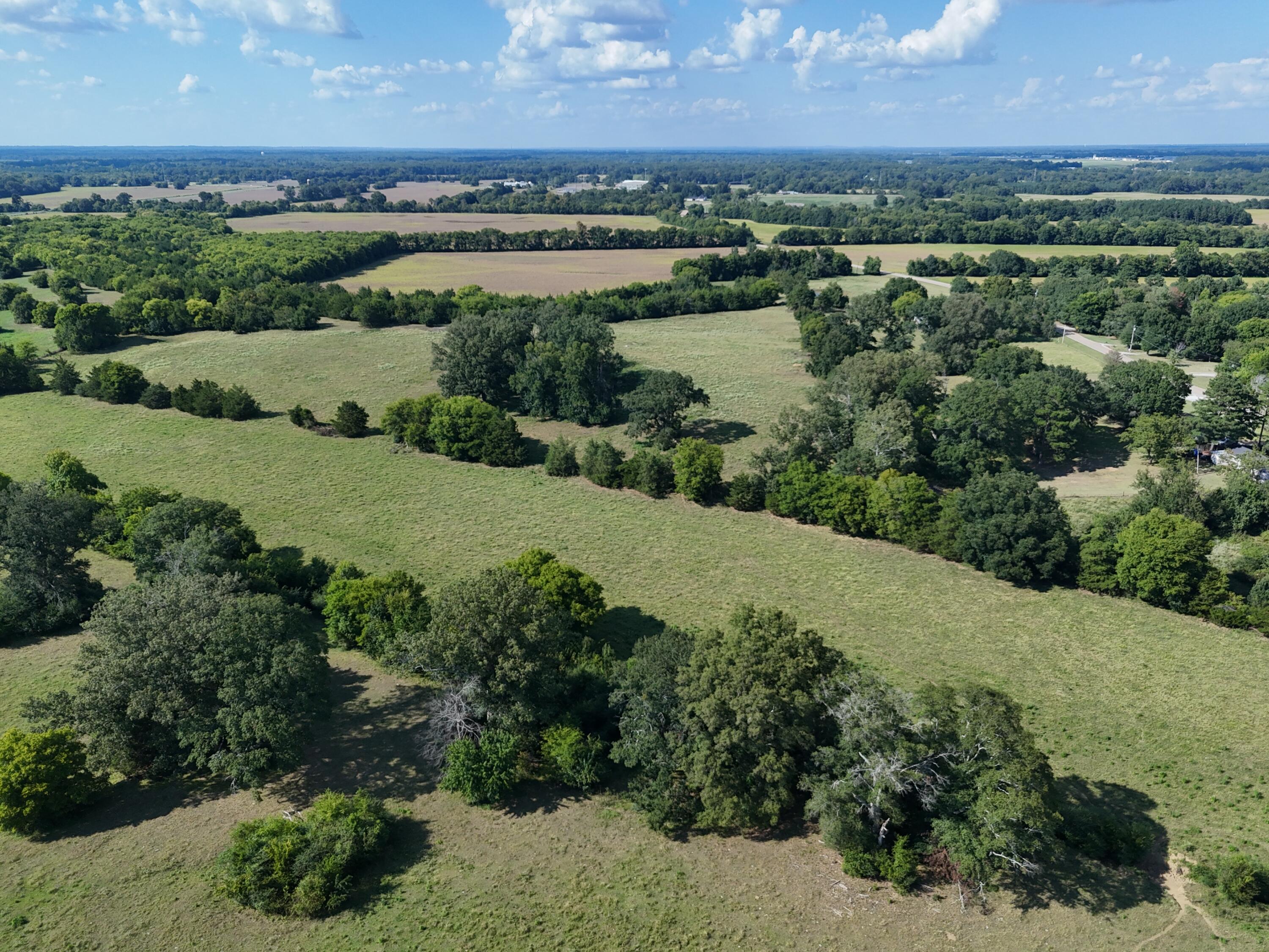 261 Co Road Tupelo, MS 38801 - Photo 5 of 26 Gallery Image 5