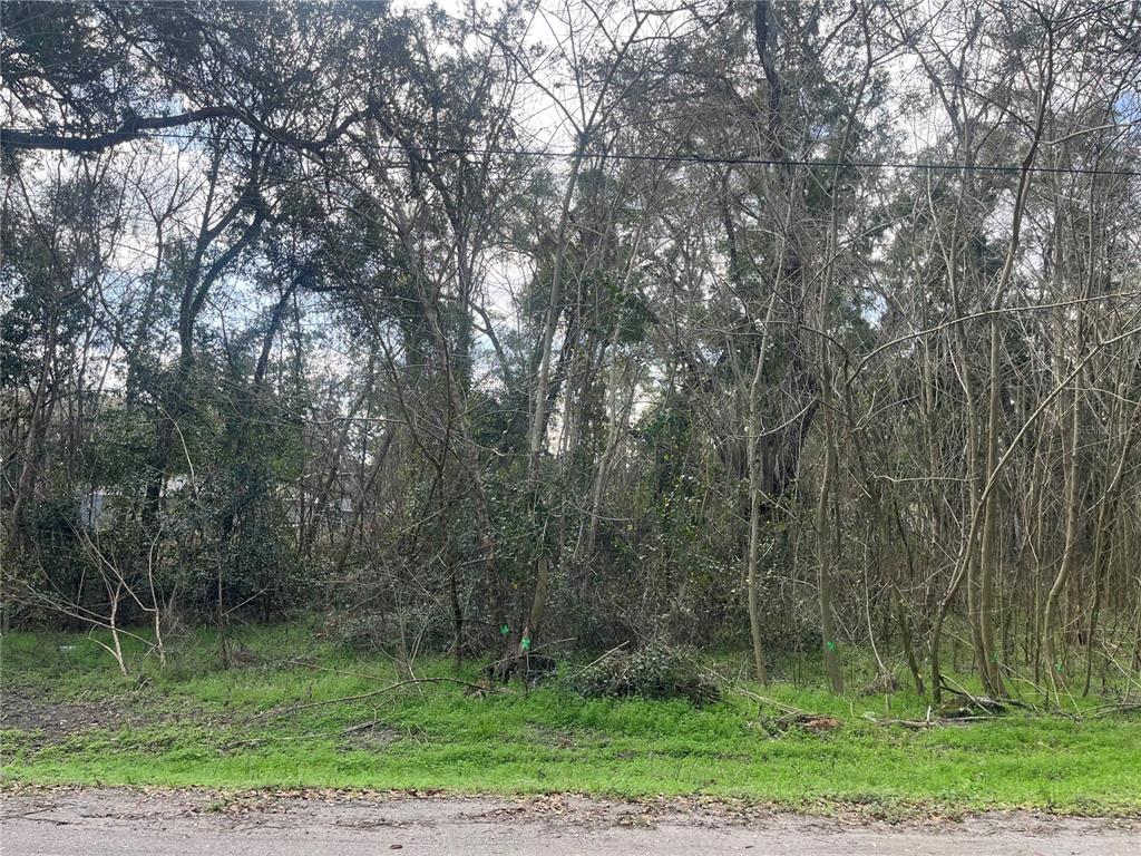 Northwest 65th Place Ocala, FL 34482 - Photo 1 of 1 a view of a forest