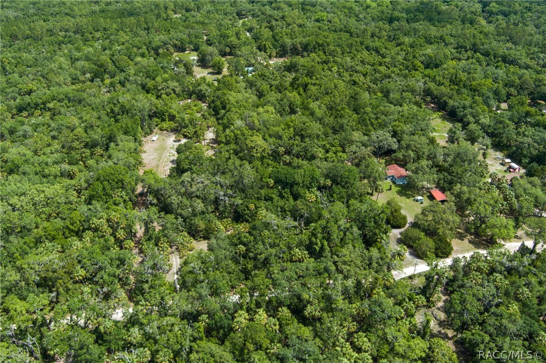 15085 West Rooster Crows Road Inglis, FL 34449 - Photo 6 of 16