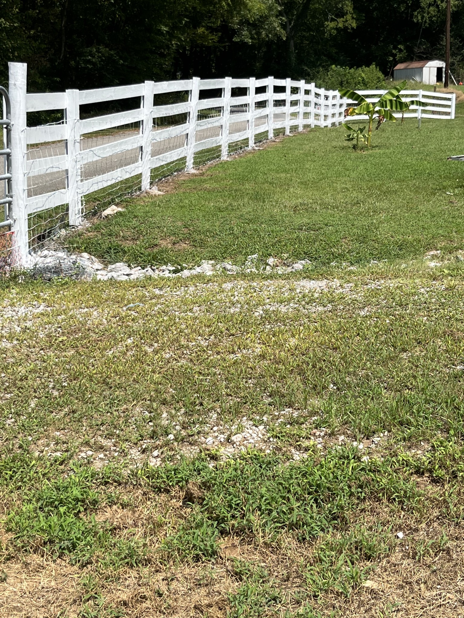 255 St Mary's Road Buffalo Valley, TN 38548 - Photo 60 of 61 a view of a garden