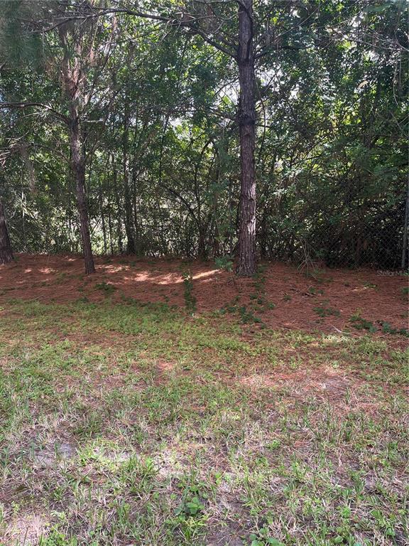17361 Old Tobacco Road Lutz, FL 33558 - Photo 14 of 27 a view of backyard with green space