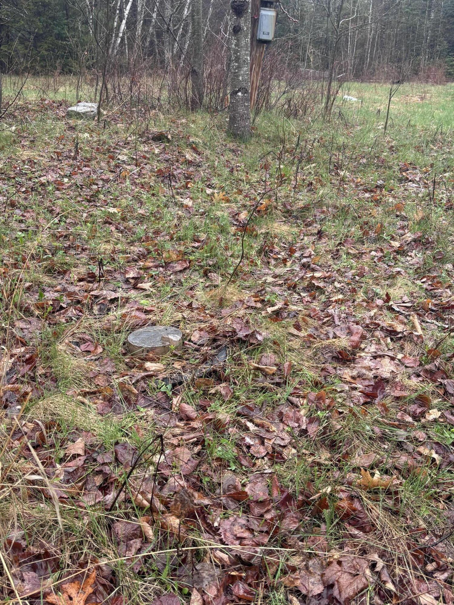 244 Long Ridge Road Burlington, ME 04417 - Photo 5 of 6 IMG_8173