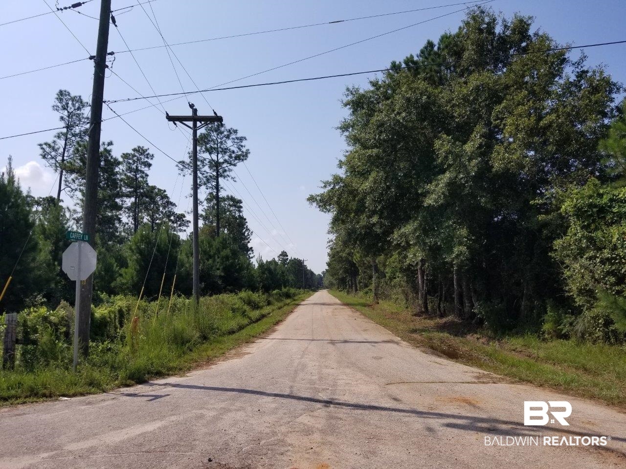 0 Jerkins Loop Atmore, AL 36502 - Photo 23 of 50