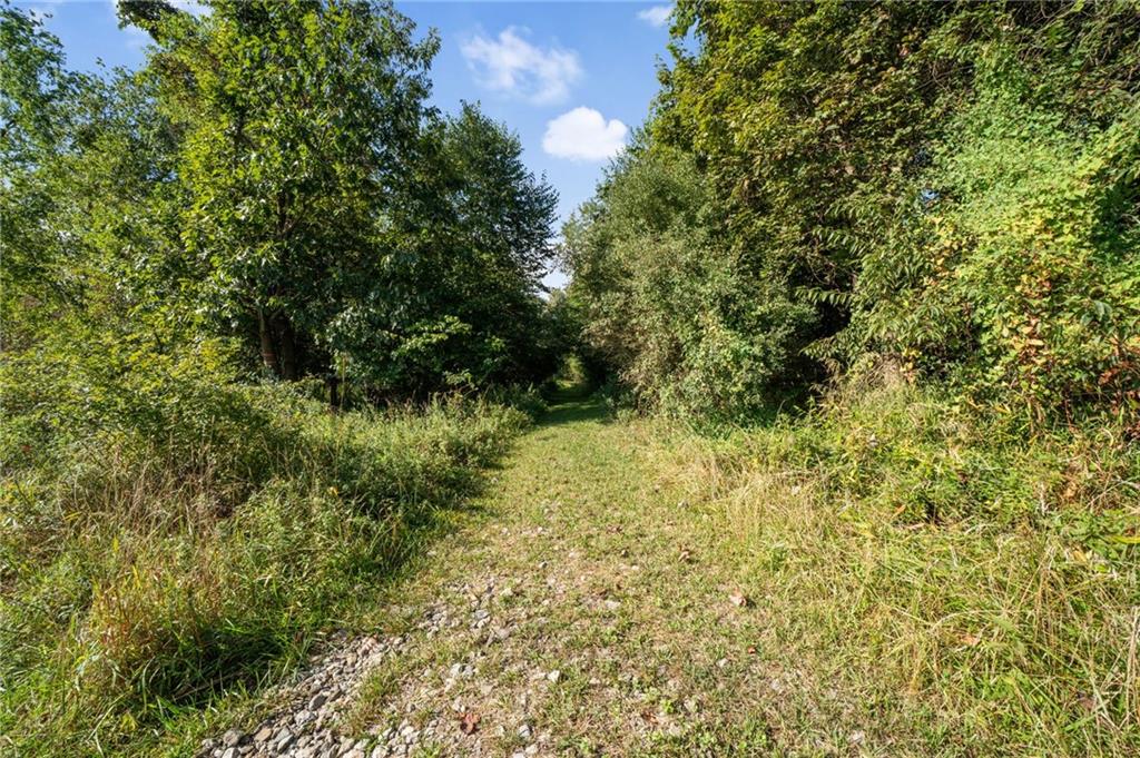 0 Sportsman Road Leechburg, PA 15656 - Photo 5 of 6 a view of a yard with plants and large trees