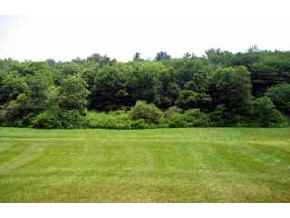 28 Baldwin Road Milford, NH 03055 - Photo 2 of 9