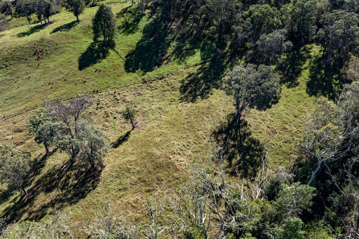 13 Old Stable Road Paauilo, HI 96776 - Photo 11 of 21 Gallery Image 11