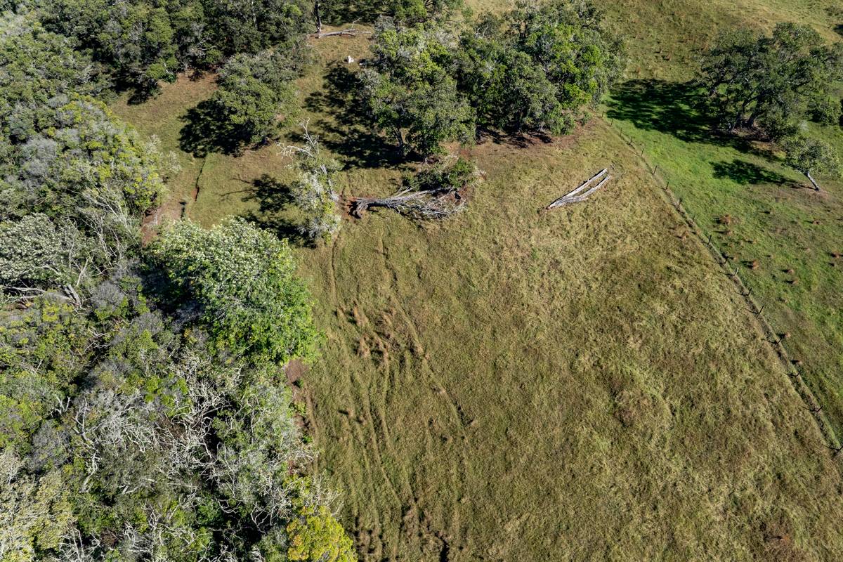 13 Old Stable Road Paauilo, HI 96776 - Photo 12 of 21 Gallery Image 12