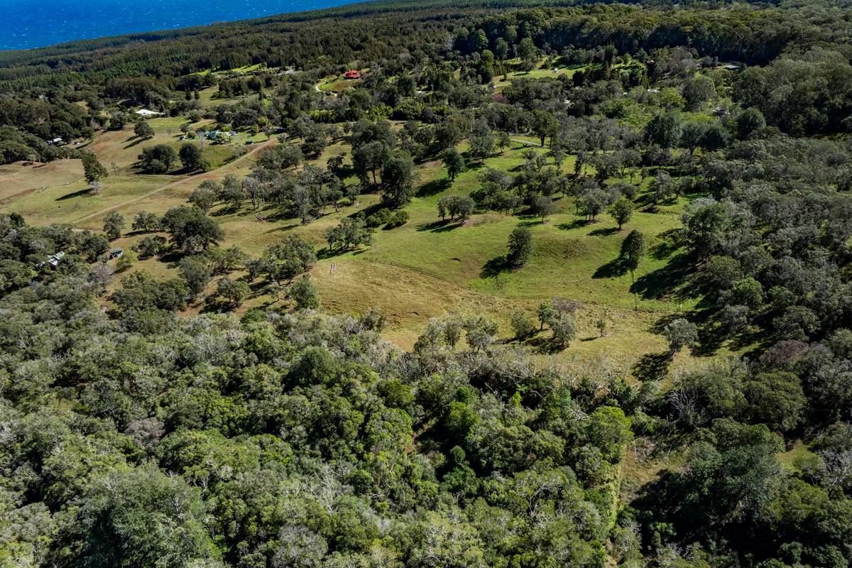 13 Old Stable Road Paauilo, HI 96776 - Photo 13 of 21 Gallery Image 13