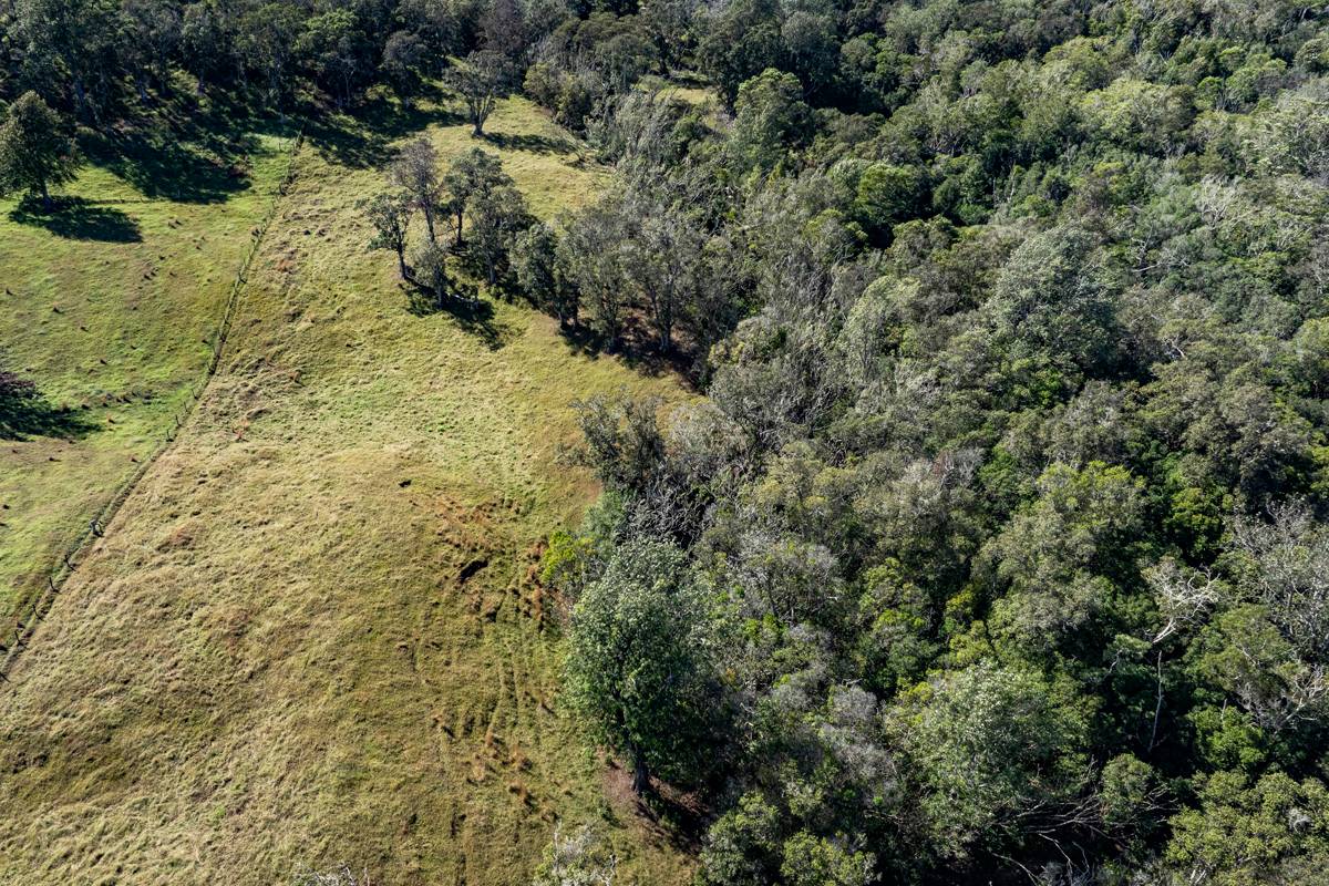 13 Old Stable Road Paauilo, HI 96776 - Photo 14 of 21 Gallery Image 14